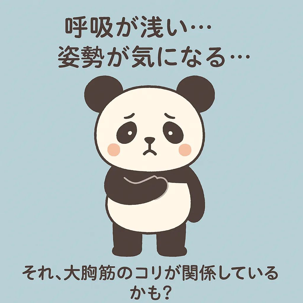 「大胸筋」について